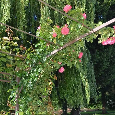 B&B L'arbre D'alais Saint-Fulgent