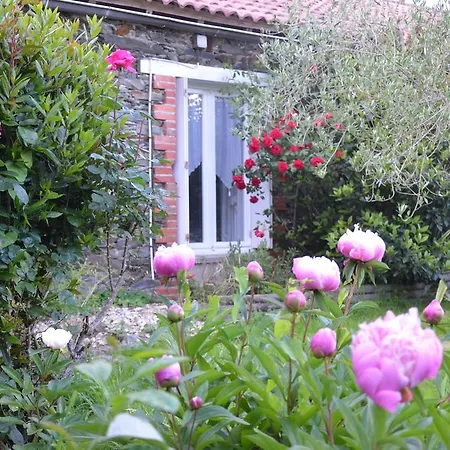 L'arbre D'alais B&B