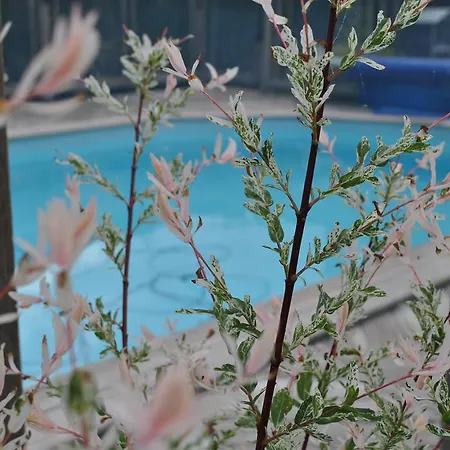Bed & Breakfast L'arbre D'alais